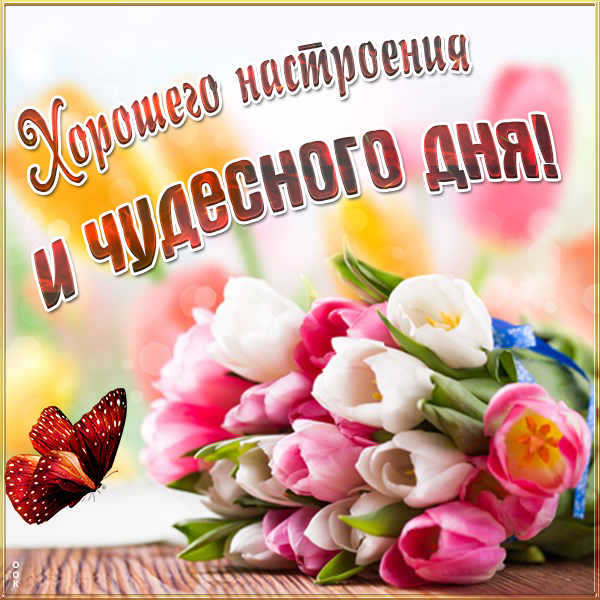 Открытка картинка чудесного дня