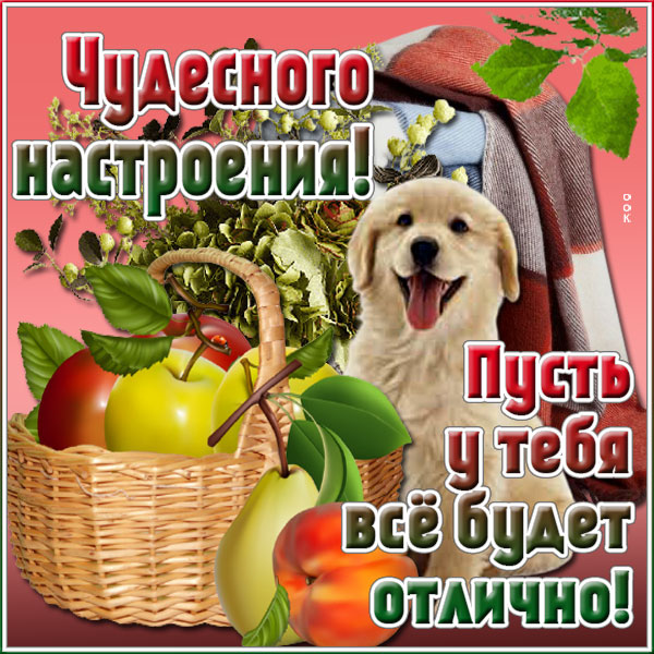 Картинка картинка чудесного настроения