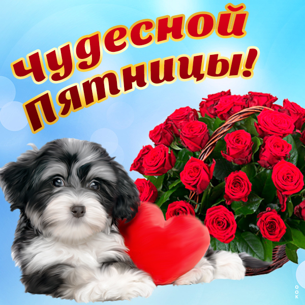 Открытка картинка чудесной пятницы