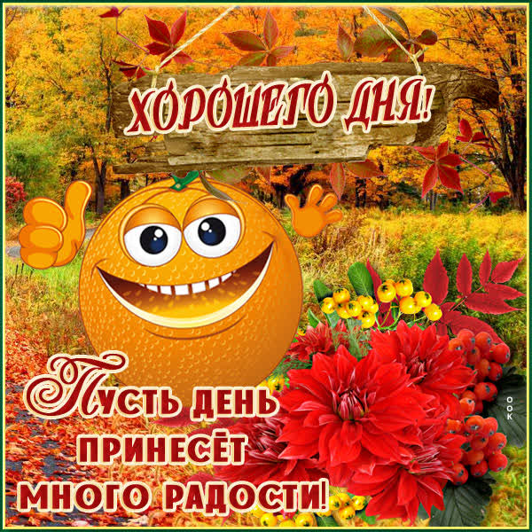 Postcard картинка чудесного осеннего дня