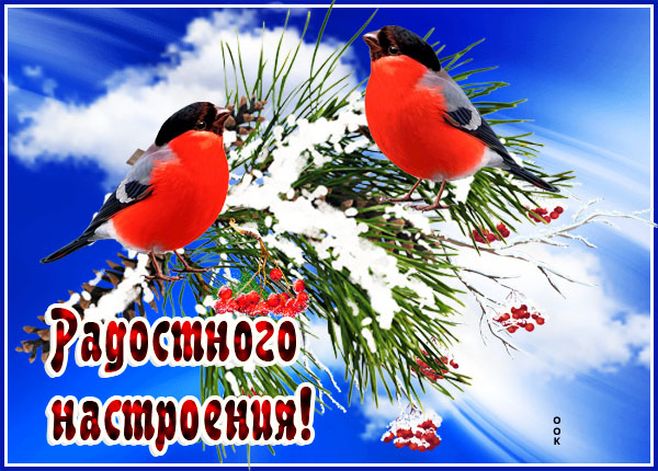 Картинка картинка для особенного человека