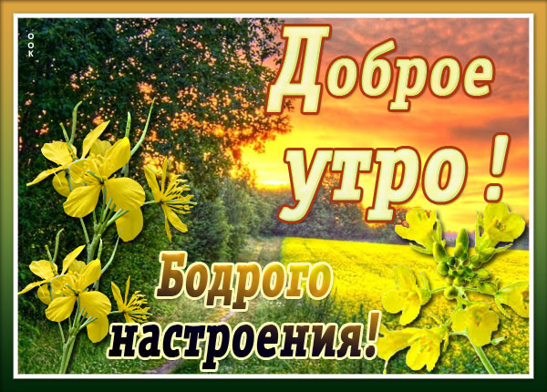 Картинка картинка доброе утро и прекрасного дня