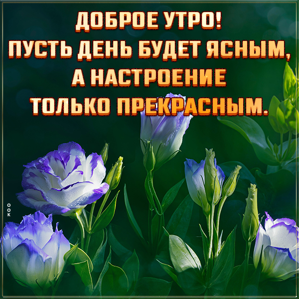 Открытка картинка доброе утро с красивыми пожеланиями
