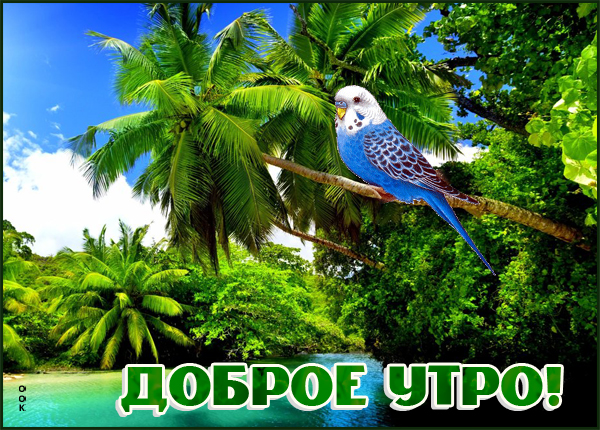 Открытка картинка доброе утро с природой