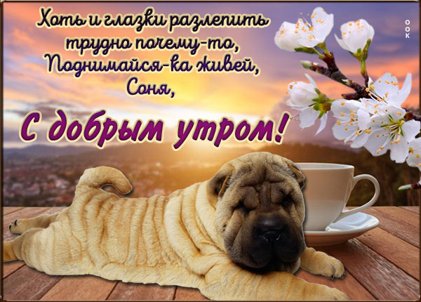 Открытка картинка доброе утро с рассветом