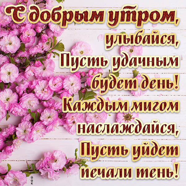 Открытка картинка доброе утро со светлыми пожеланиями