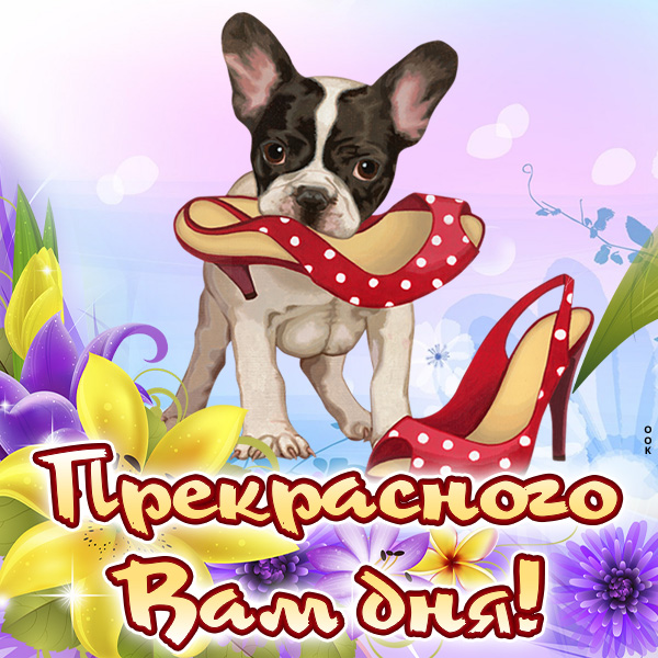 Картинка картинка доброго и хорошего дня