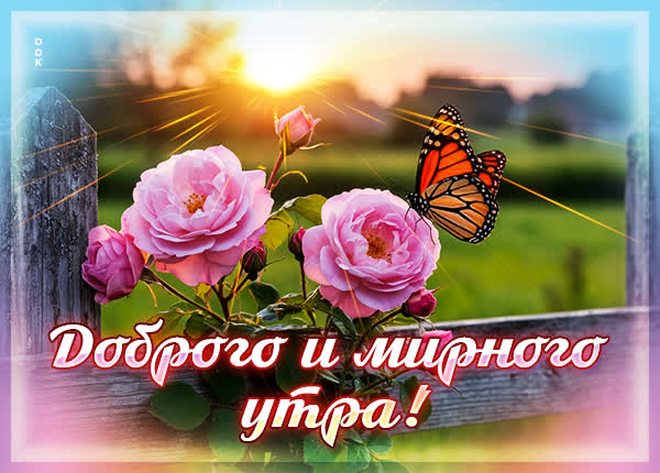Picture картинка доброго и мирного утра