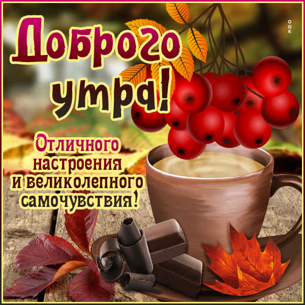 Picture картинка доброго светлого утра