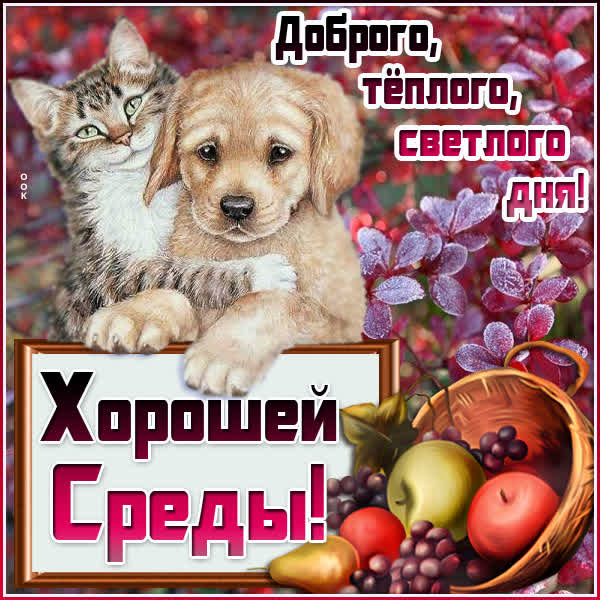 Postcard картинка доброго ,теплого ,светлого дня !
