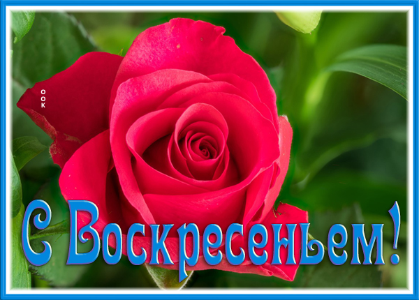 Картинка картинка доброго воскресенья