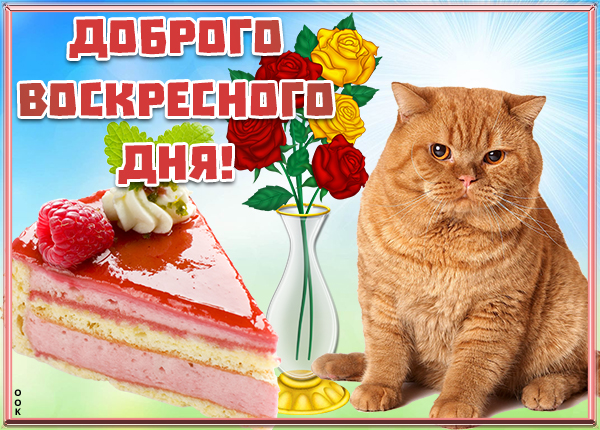 Открытка картинка доброго воскресенья