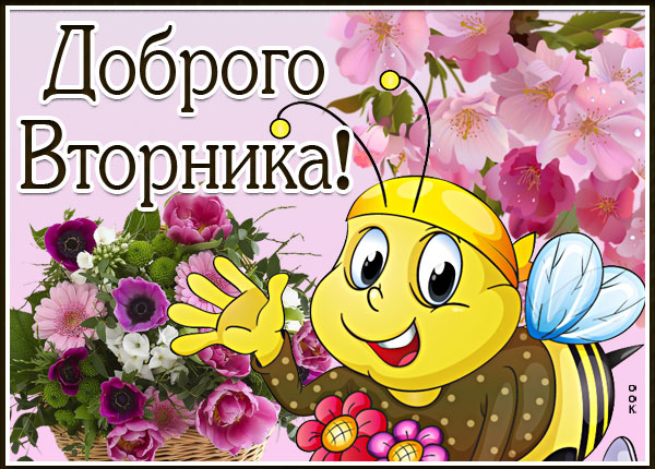 Картинка картинка доброго вторника