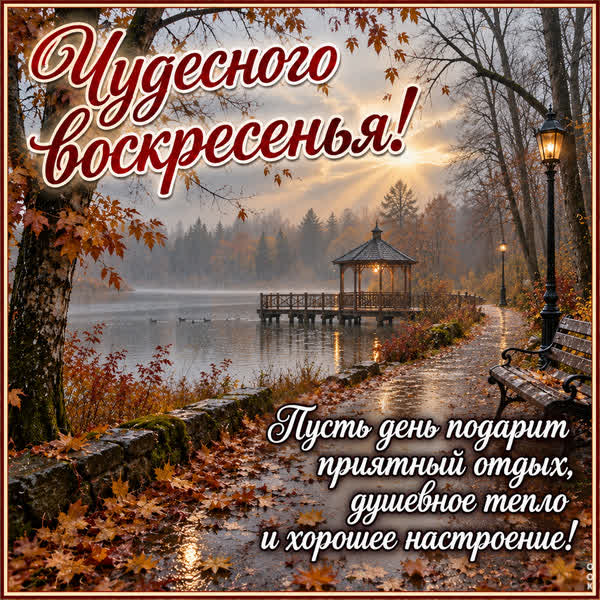 Postcard картинка душевного тепла в воскресенье