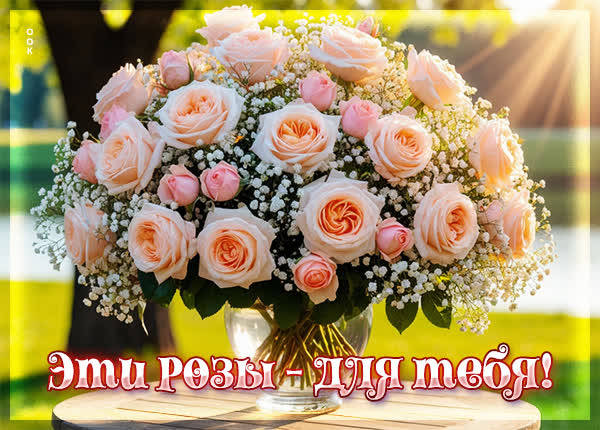 Postcard картинка эти розы для тебя