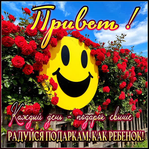Picture картинка каждый день - подарок свыше, привет