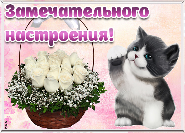 Открытка картинка хорошего дня и отличного настроения