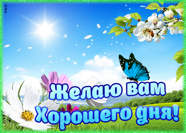 Картинка картинка хорошего дня с бабочкой