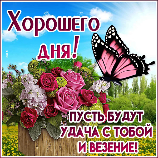 Открытка картинка хорошего дня с бабочкой