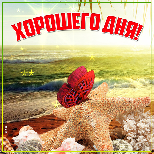 Открытка картинка хорошего дня с бабочкой