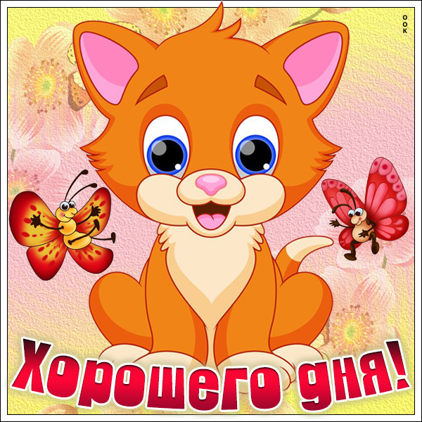 Открытка картинка хорошего дня с котиком