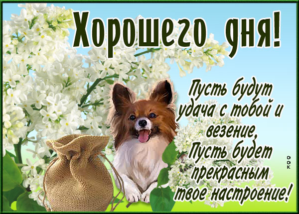 Открытка картинка хорошего дня с пожеланиями