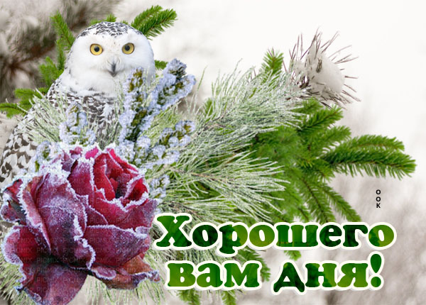 Картинка картинка хорошего дня со снегом