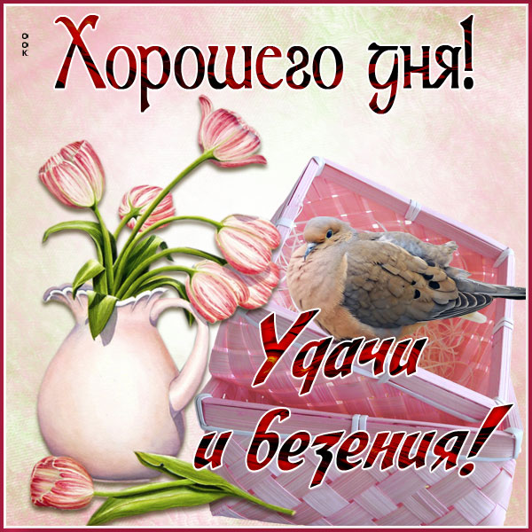 Картинка картинка хорошего дня в ярких красках