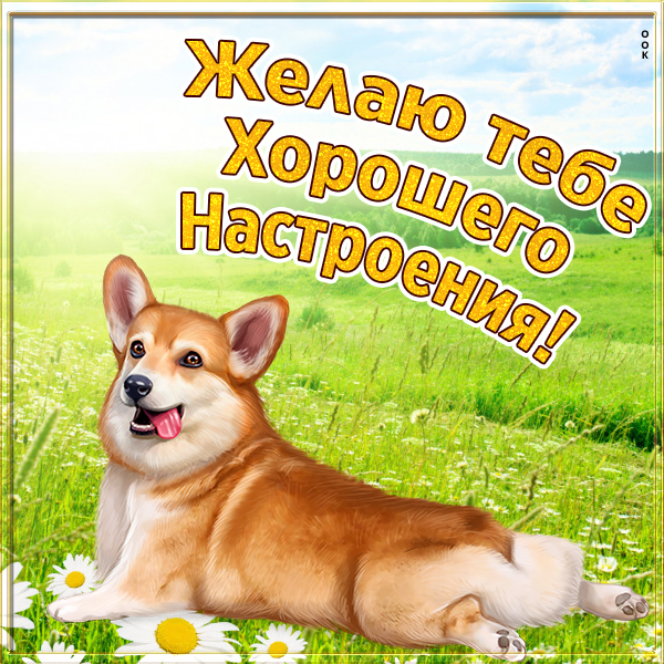 Открытка картинка хорошего настроения на весь день