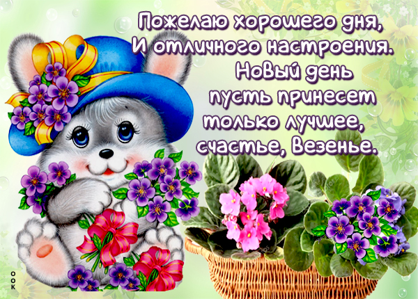 Открытка картинка хорошего настроения на весь день