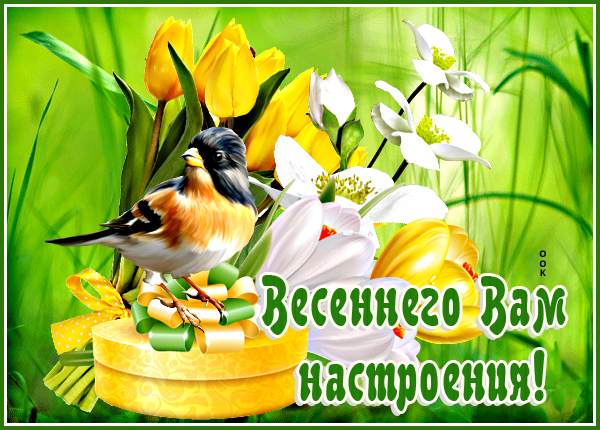 Картинка картинка хорошего настроения с великолепными цветами