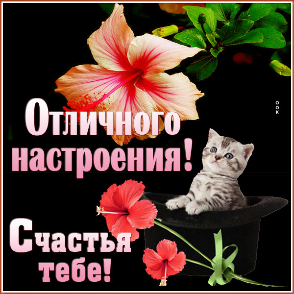Картинка картинка хорошего настроения в любую погоду