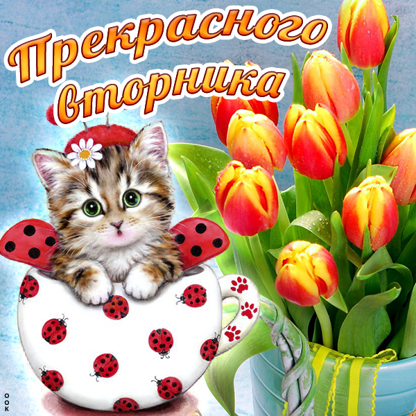 Картинка картинка хорошего вторника