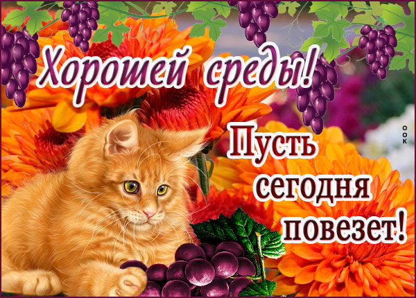 Открытка картинка хорошей среды, пусть сегодня повезёт