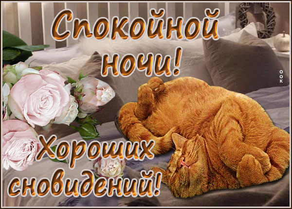 Картинка картинка хороших сноведений