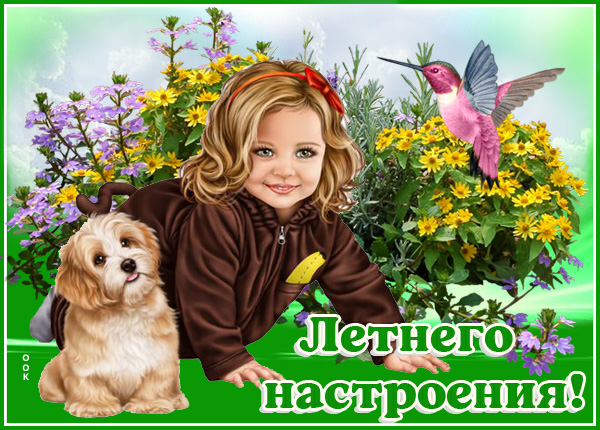 Картинка картинка летнего настроения с собакой