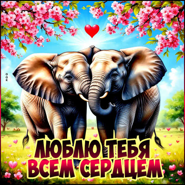 Picture картинка люблю тебя всем сердцем