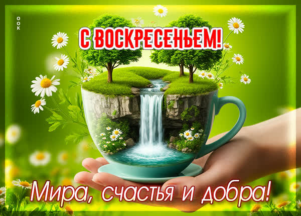 Postcard картинка мира и добра воскресного