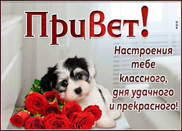 Postcard картинка настроения тебе классного