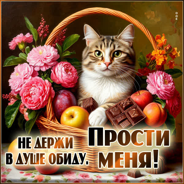Postcard картинка не держи в душе обиду