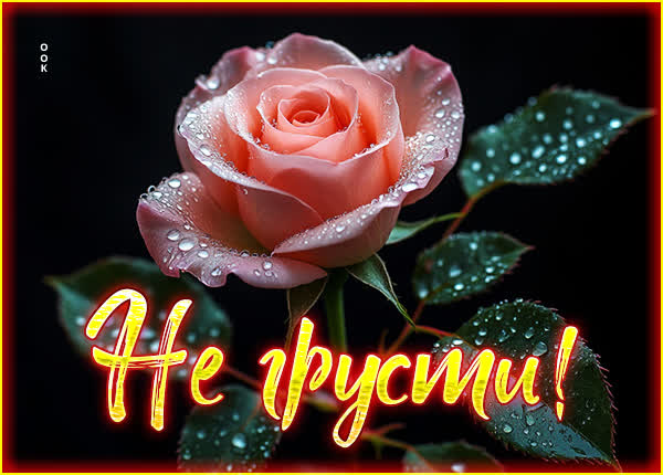 Postcard картинка не грусти