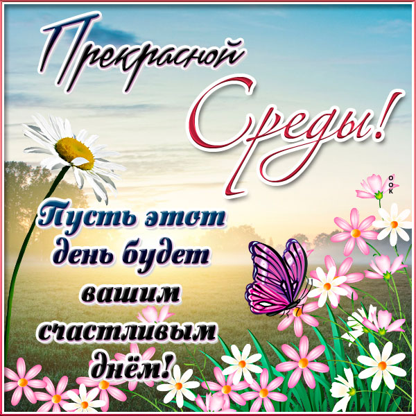 Открытка картинка неповторимой среды