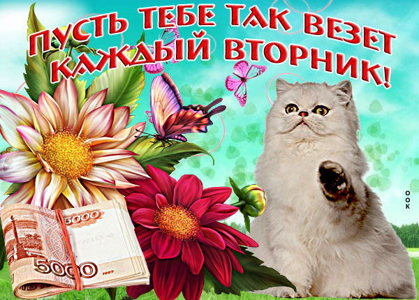 Открытка картинка нескучного вторника