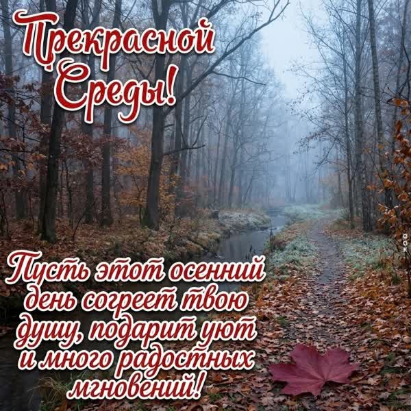 Postcard картинка осенняя среда