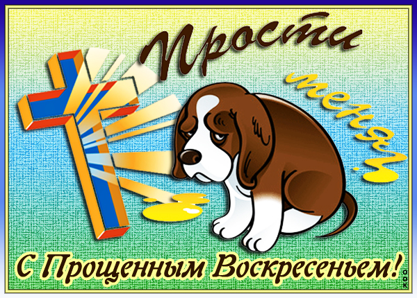 Открытка картинка от всей души прошу прощенья
