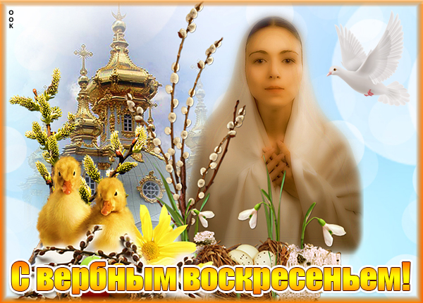Картинка картинка отличное поздравление с вербным воскресеньем