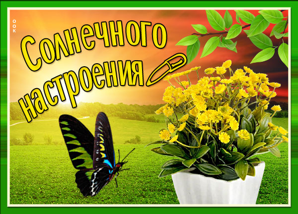 Открытка картинка отличного настроения на весь день