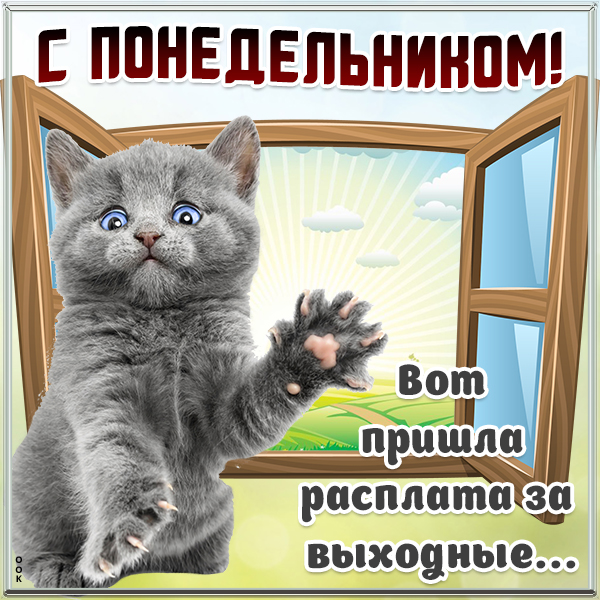 Открытка картинка отличного понедельника