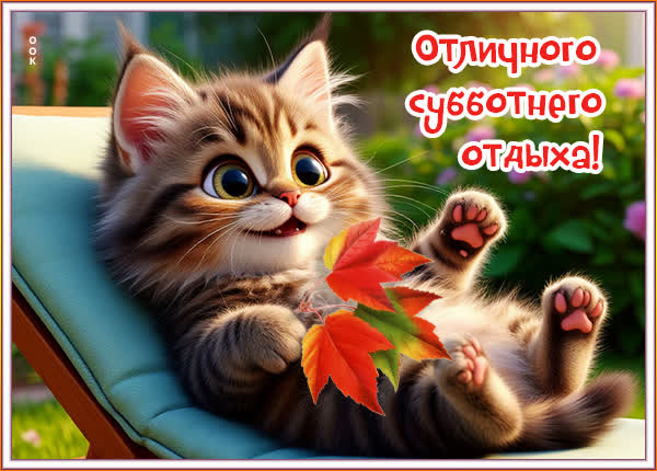 Picture картинка отличного субботнего отдыха