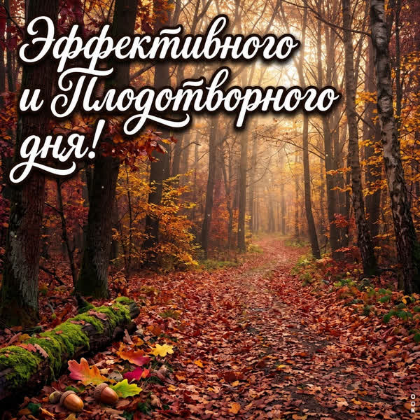 Picture картинка плодородного дня
